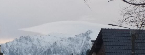 Urmeaza mobilitati apioschool pe Valea Prahovei si Poiana Brasov