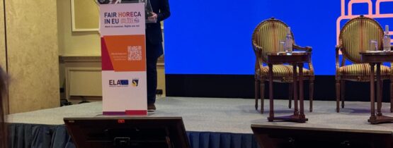 Autoritatea Europeană a Muncii (ELA) – ROMA 02-04.10.2024 APIO prezintă în premieră Europeană: APIO ACTIVE APPRENTICESHIP (AAA) ghidul învățământului dual pentru antreprenori.